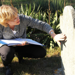 The Historical Commission’s Jennifer Madden inspects a headstone at Cedarville Cemetery